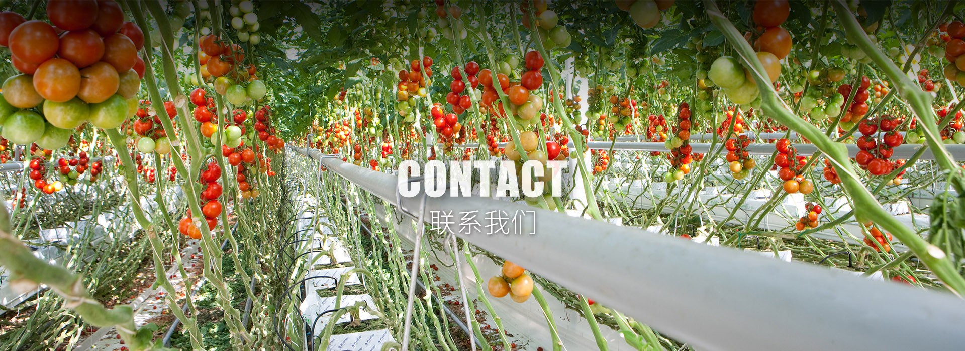 聯(lián)系我們