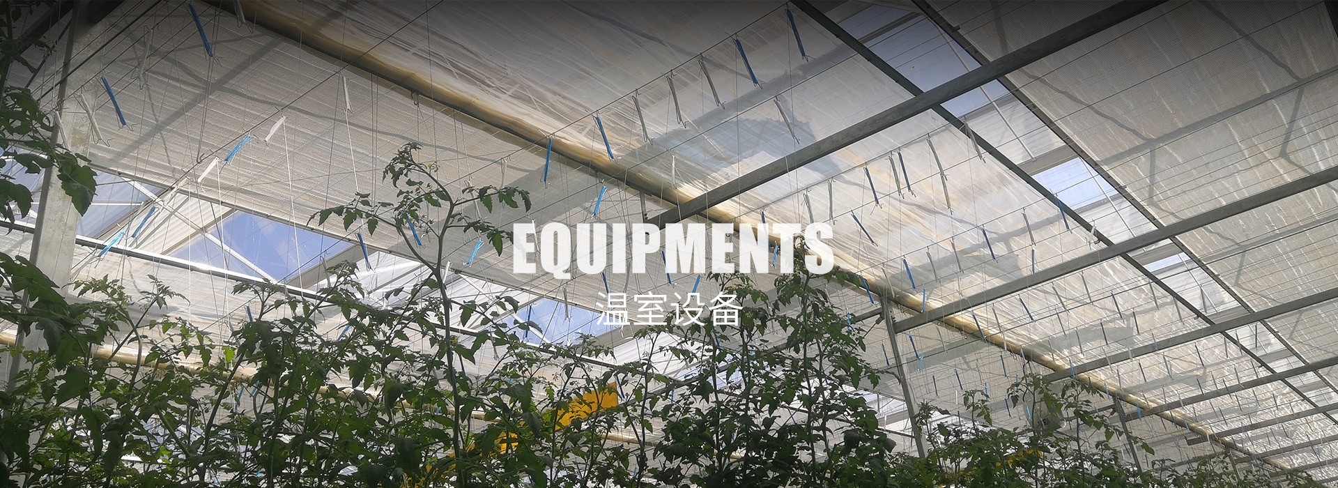 降溫系列