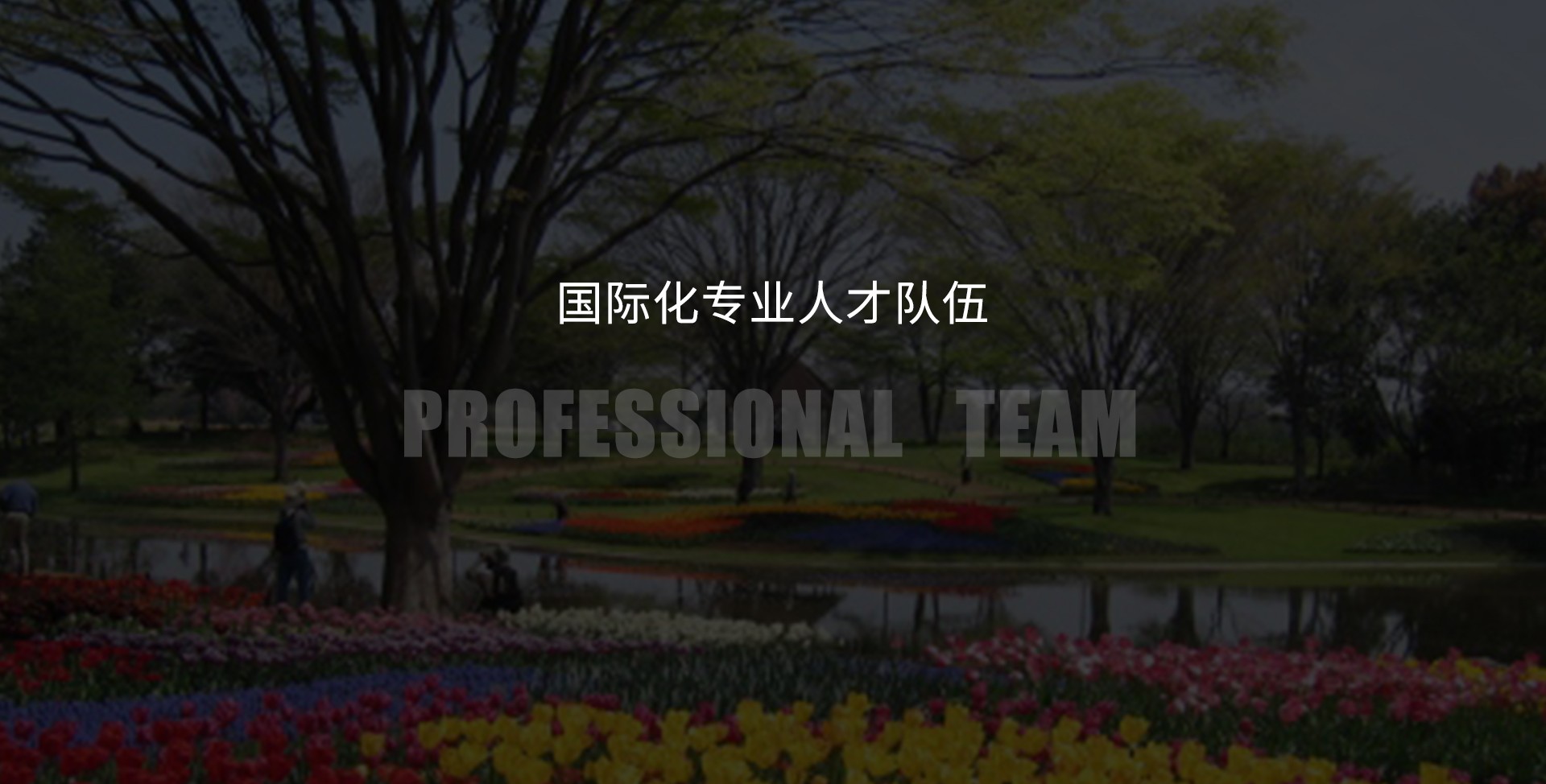 專業(yè)人才.jpg 專業(yè)人才.jpg